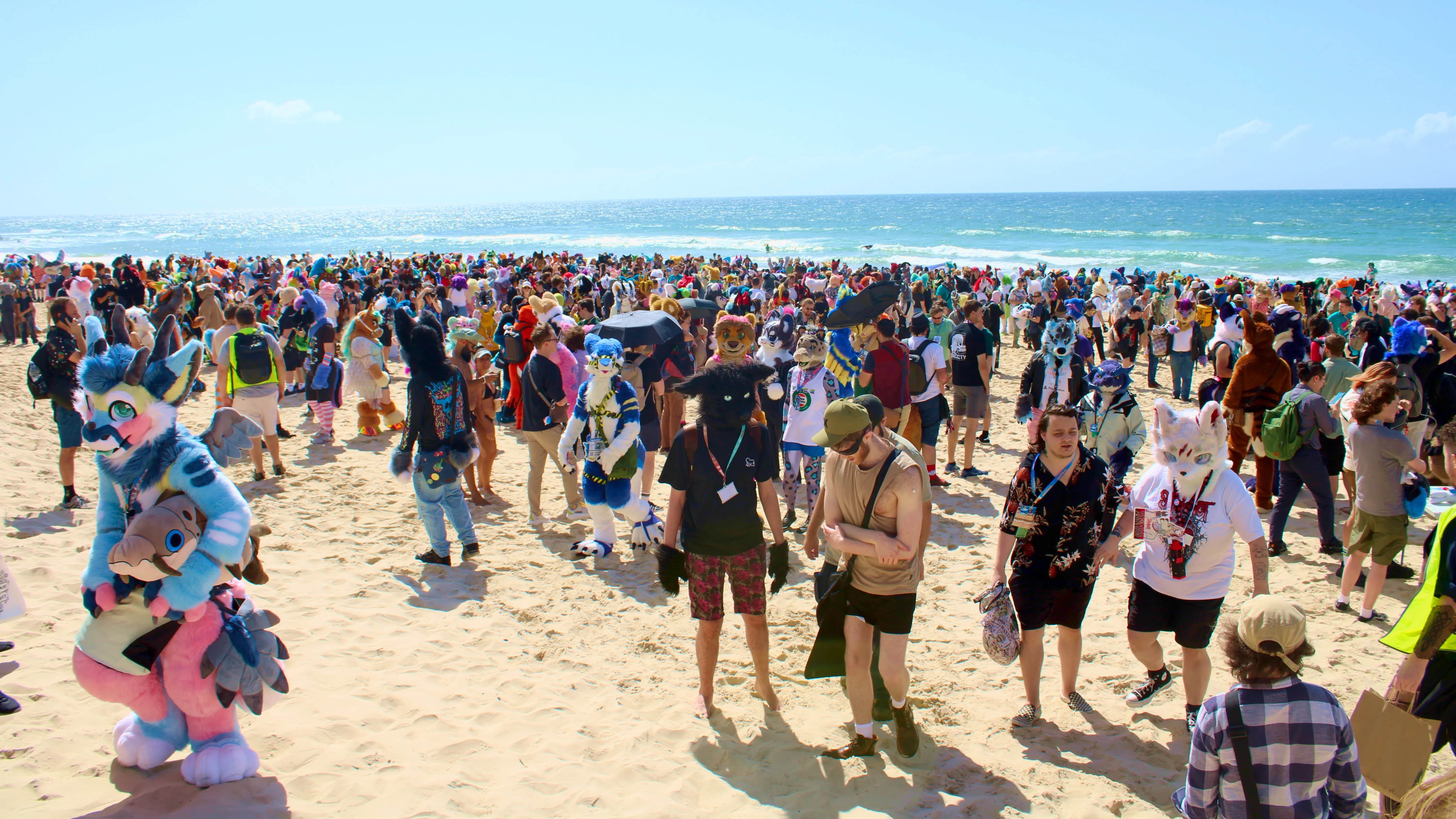 A photo of a group of furries on the beach